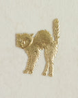 Scardy Cat