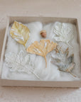 【ご予約商品】Little Tale Box