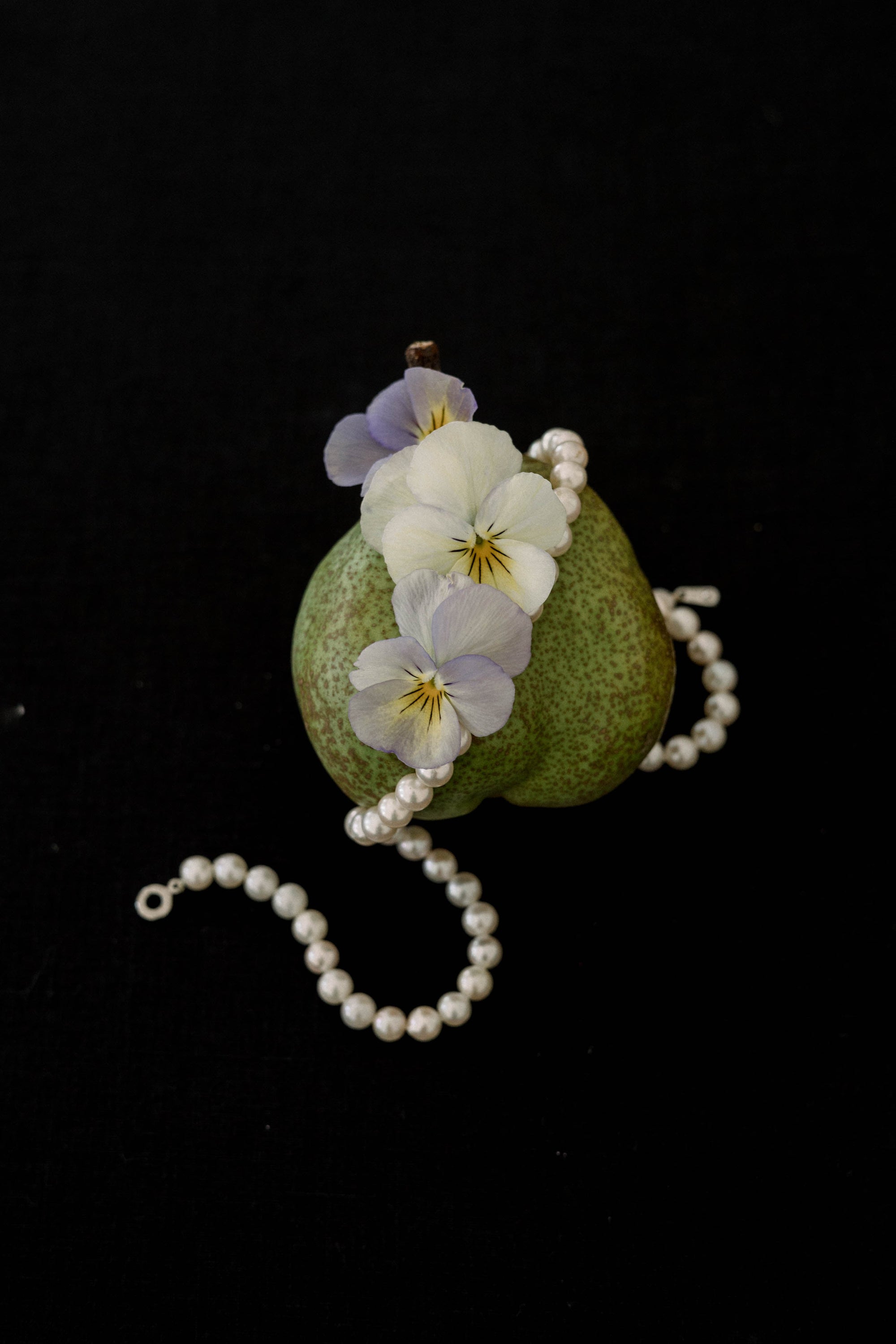 A quiet prelude to forever. Black, white, and all things bright.