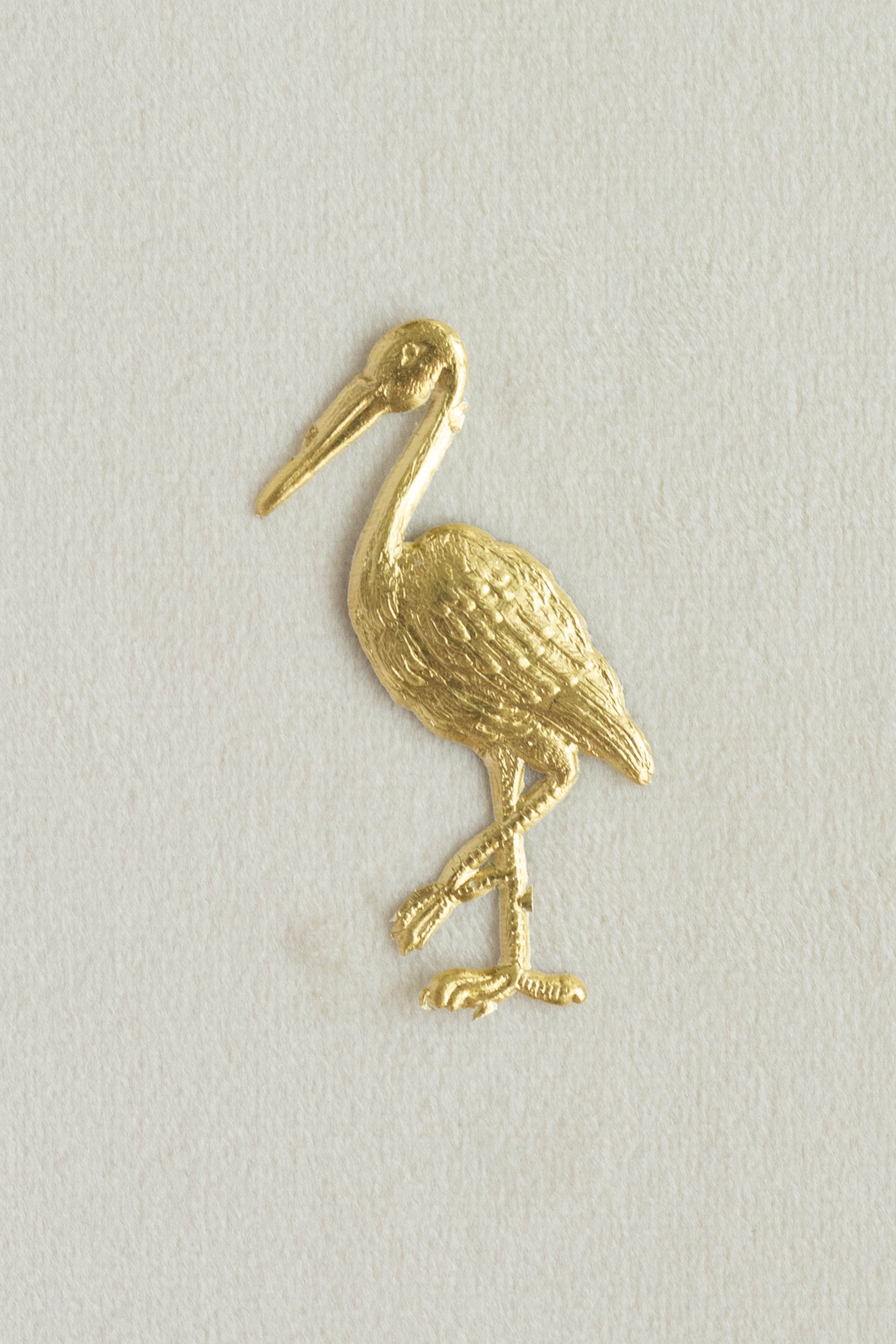 Stork
