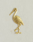 Stork