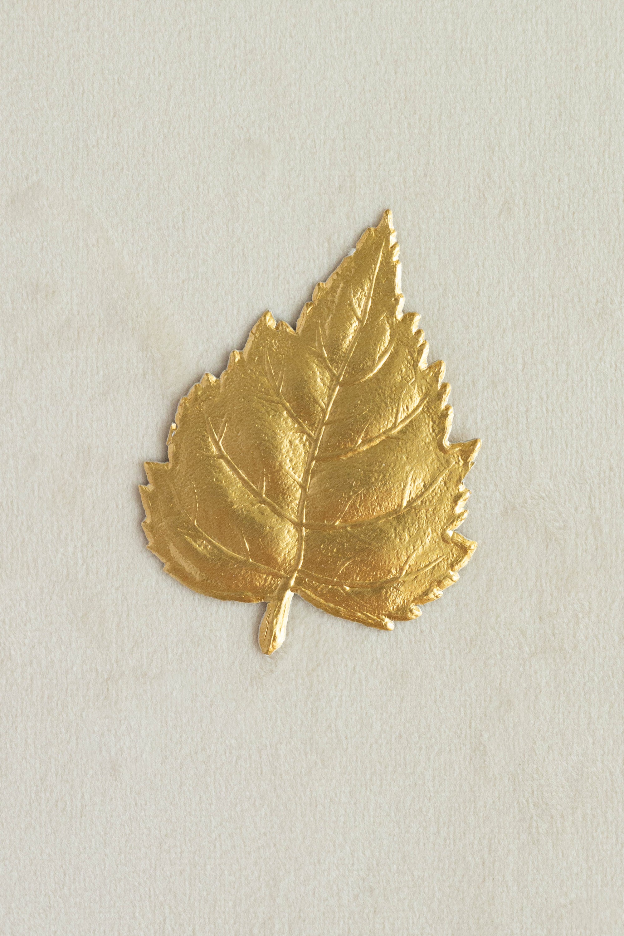 Birch Leaf