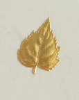 Birch Leaf