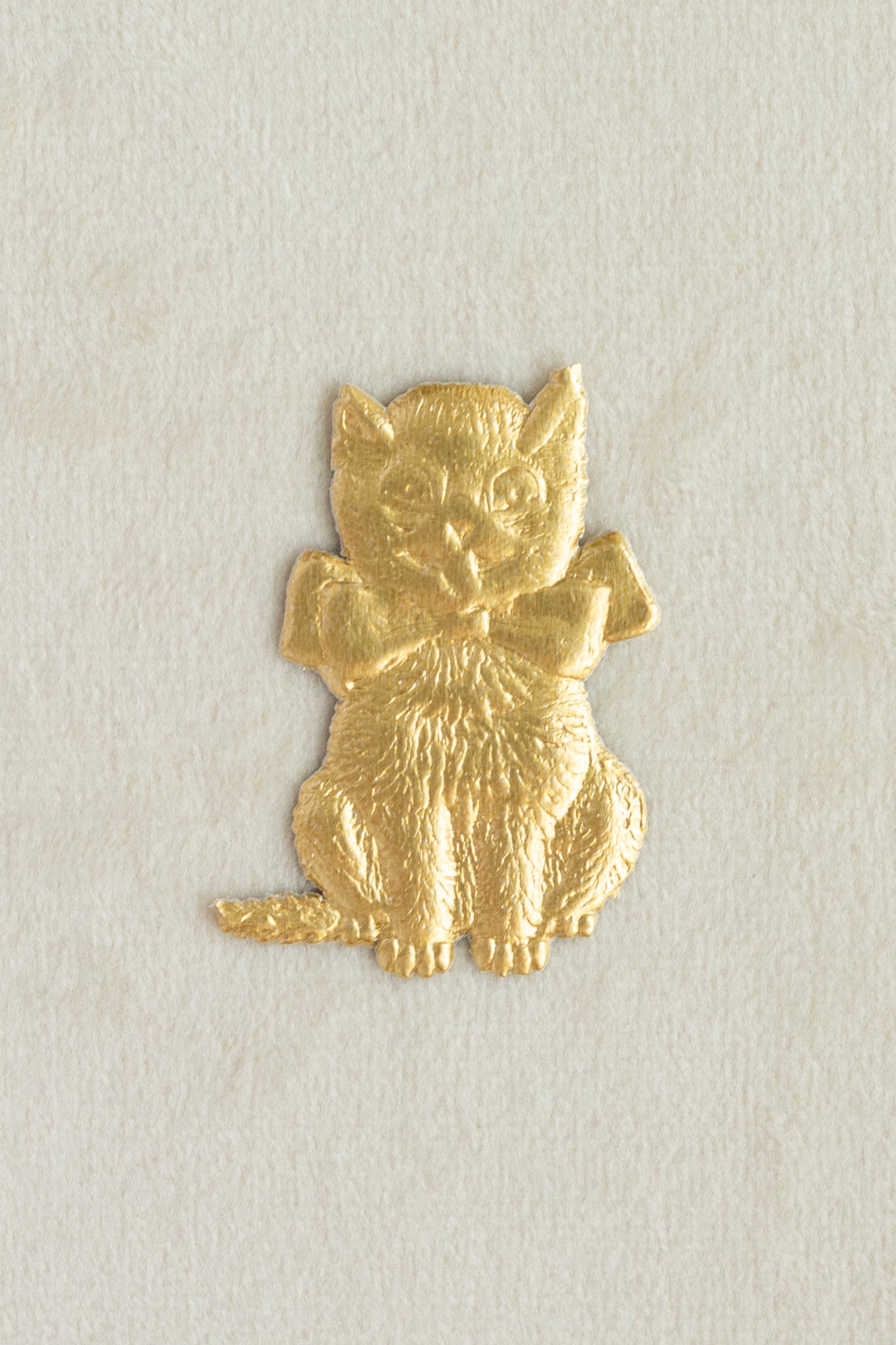 Cat With Bow