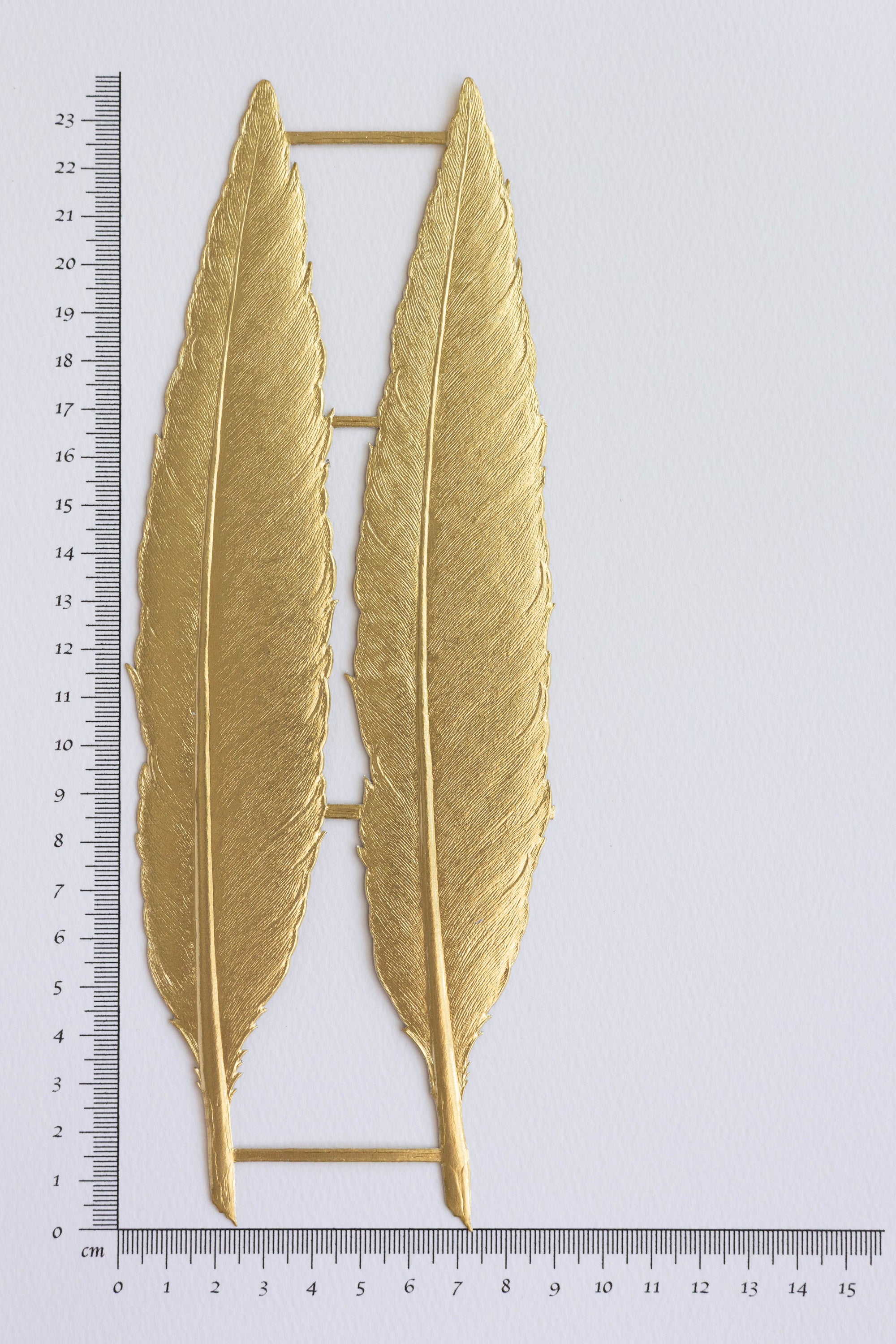 Feathers