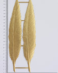 Feathers
