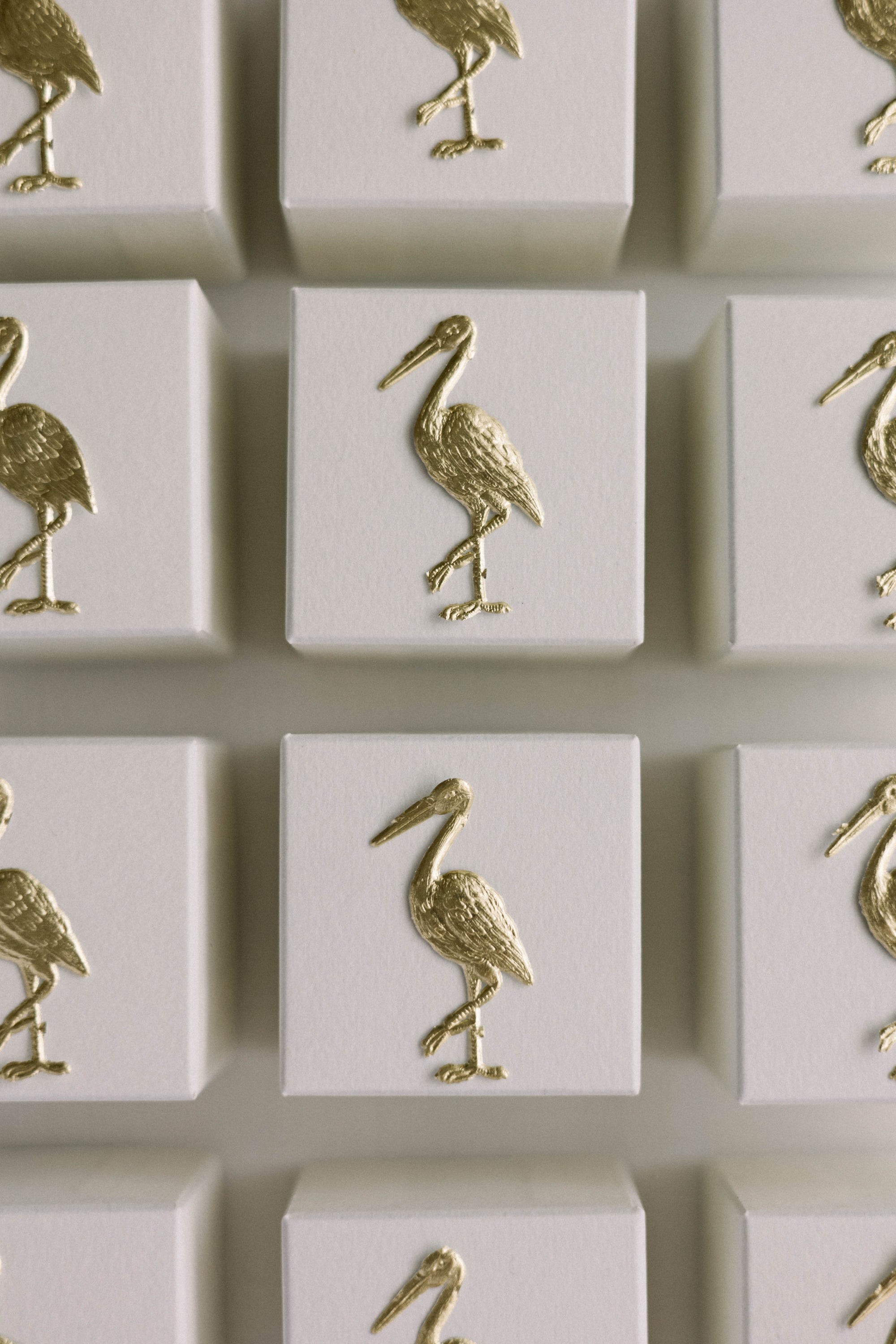 Stork