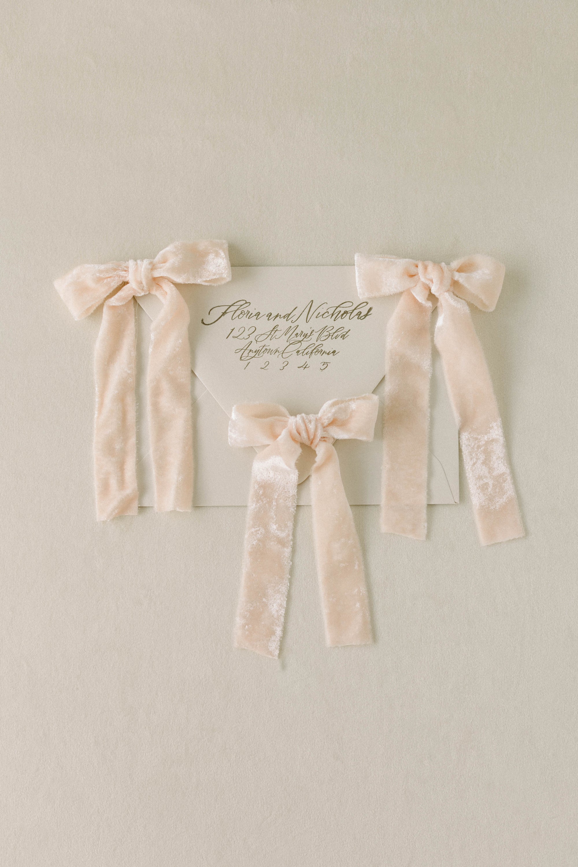 Velvet Silk Ribbon：Ballet Pink