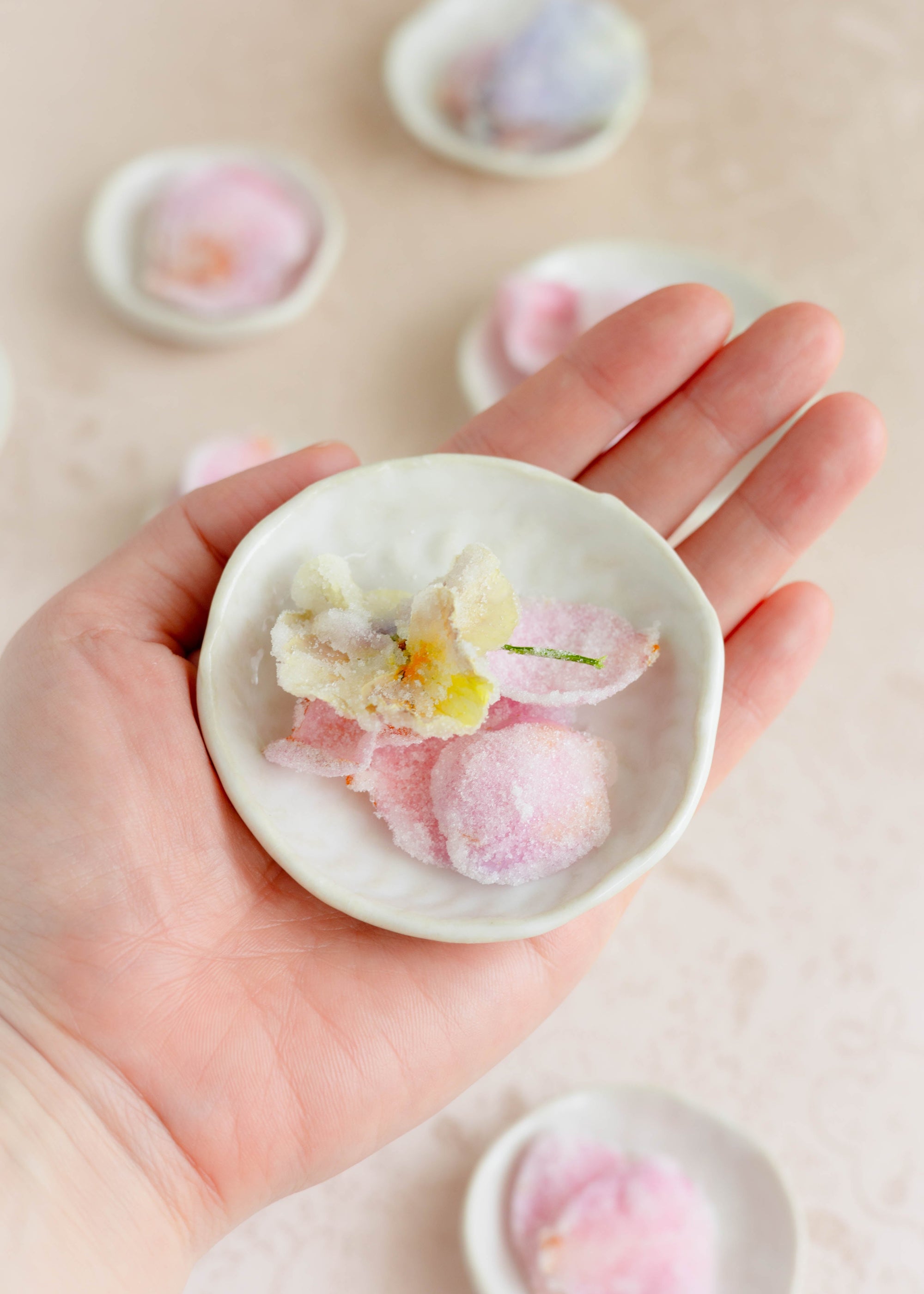 Julia Moli Petite Flatlay Plate Set
